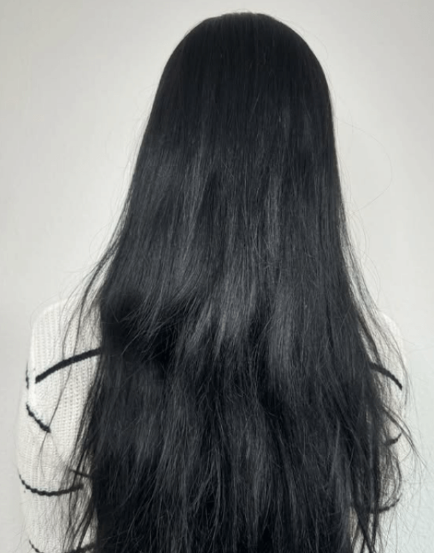 Plaukų būklė prieš priežiūros procedūrą – ilgi, tamsūs plaukai iš nugaros